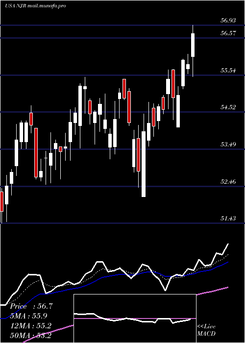  Daily chart NewjerseyResources