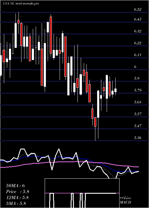  Daily chart NlIndustries