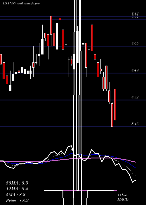  Daily chart NuveenNew