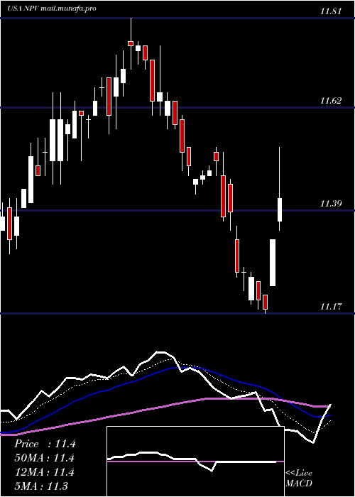  Daily chart NuveenVirginia