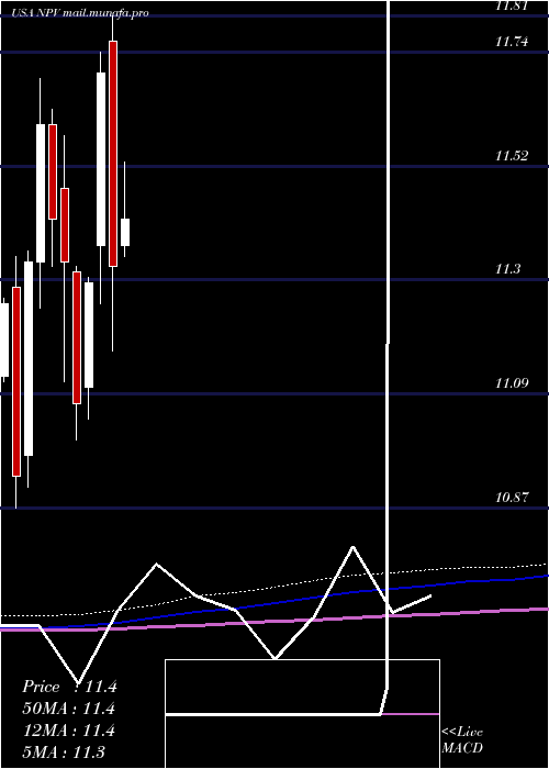 monthly chart NuveenVirginia
