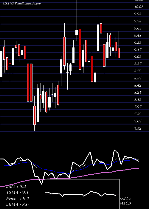  Daily chart NorthEuropean