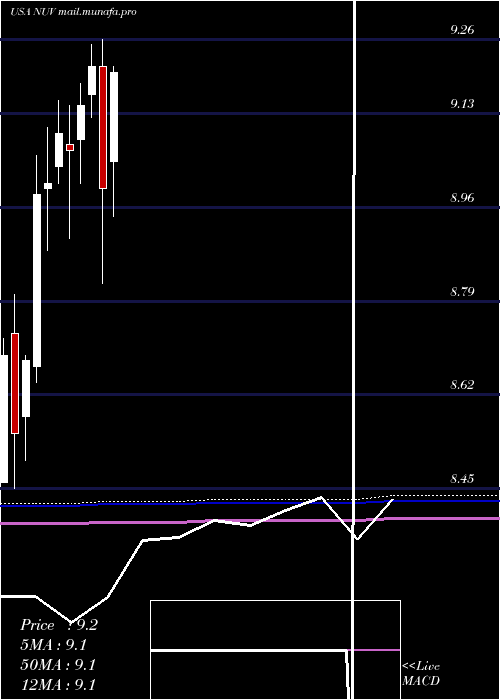 monthly chart NuveenAmt