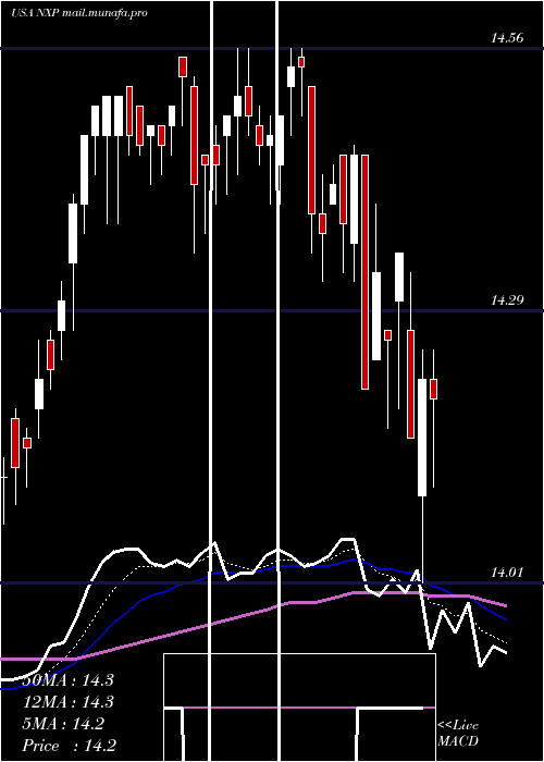  Daily chart NuveenSelect