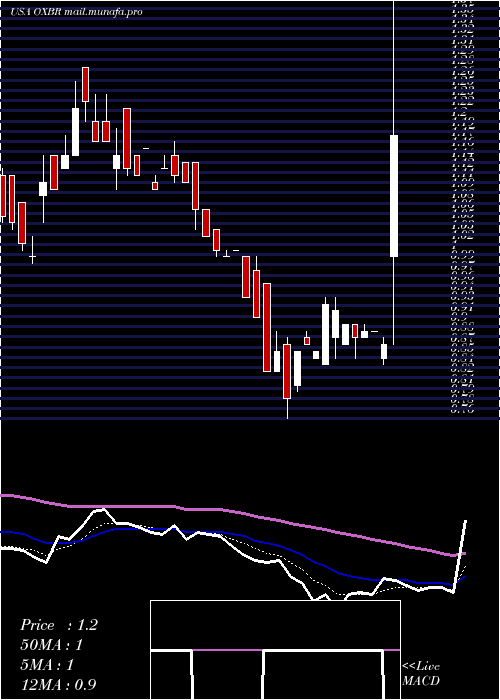  Daily chart OxbridgeRe