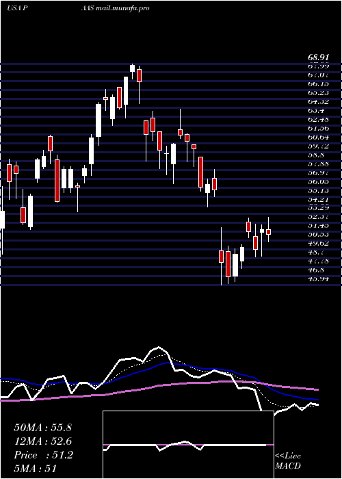  Daily chart PanAmerican