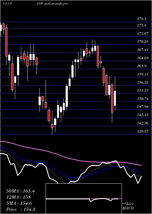  Daily chart PaloAlto