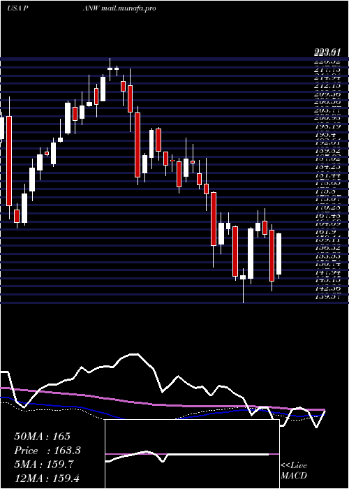  weekly chart PaloAlto