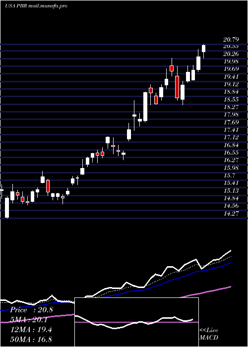  Daily chart PetroleoBrasileiro