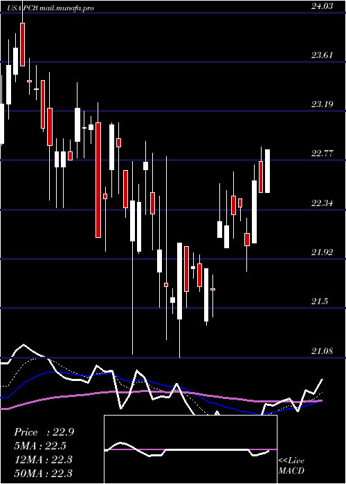  Daily chart PacificCity