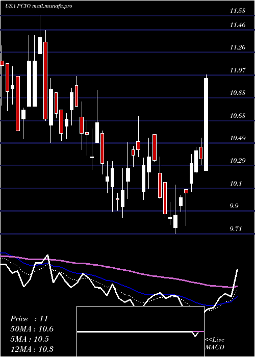  Daily chart PureCycle