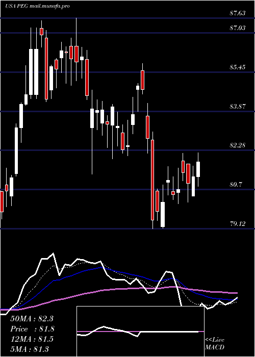  Daily chart PublicService