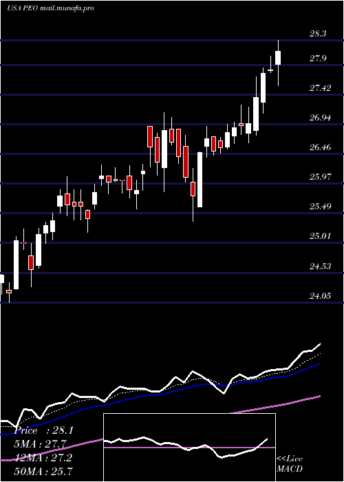  Daily chart AdamsNatural