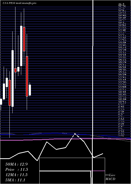  monthly chart PermaFix