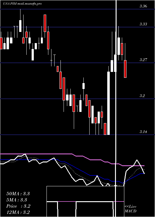  Daily chart PutnamMaster