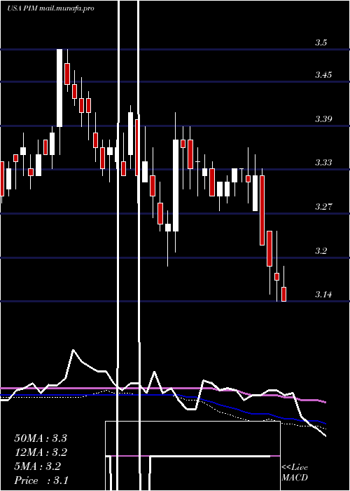  weekly chart PutnamMaster