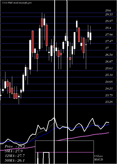  Daily chart ParkElectrochemical