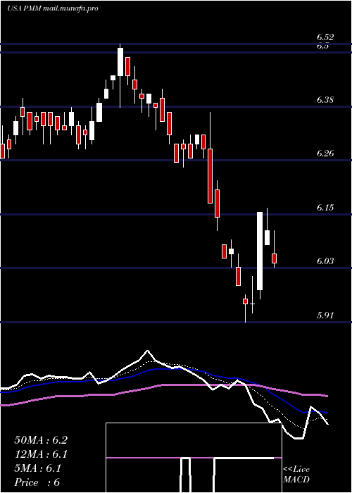  Daily chart PutnamManaged