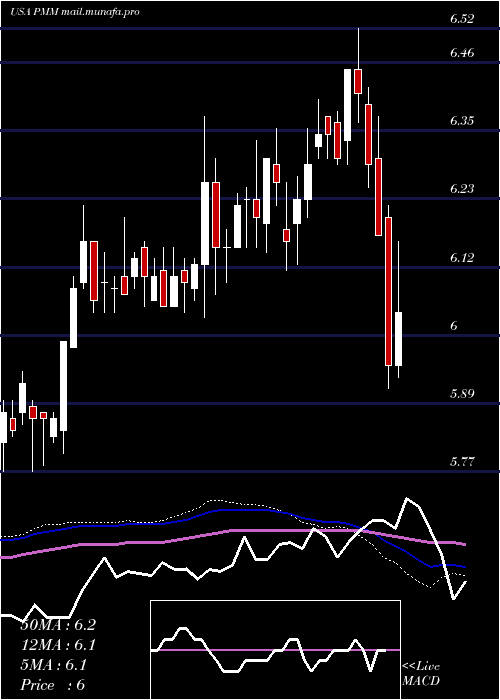  weekly chart PutnamManaged