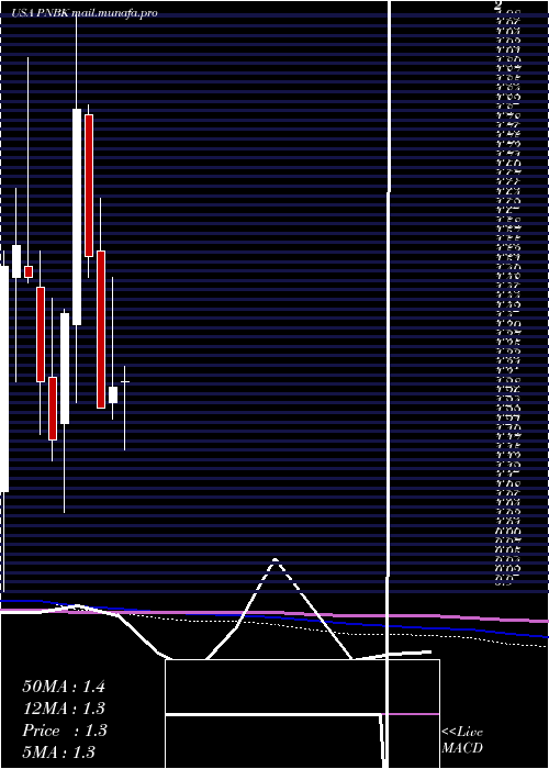  monthly chart PatriotNational