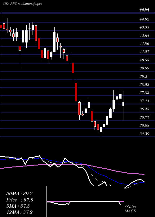  Daily chart PilgrimS