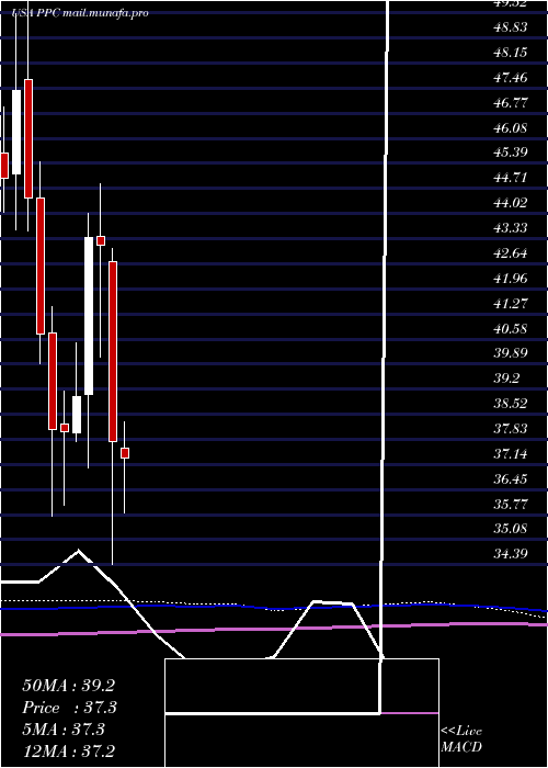  monthly chart PilgrimS