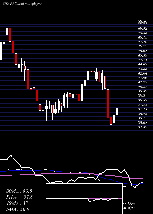  weekly chart PilgrimS