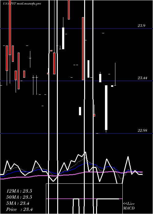 Daily chart PplusTrust