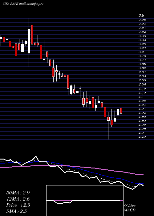  Daily chart RaveRestaurant