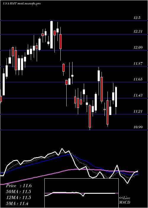  Daily chart RoyceMicro