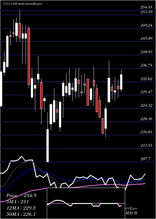  Daily chart BostonBeer