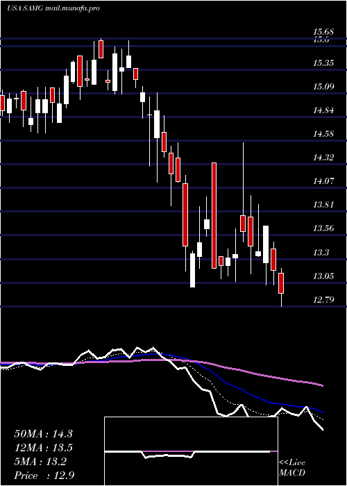  Daily chart SilvercrestAsset