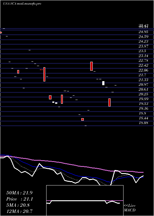  Daily chart StellusCapital