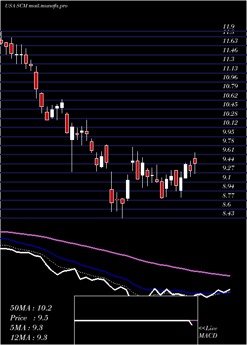  Daily chart StellusCapital