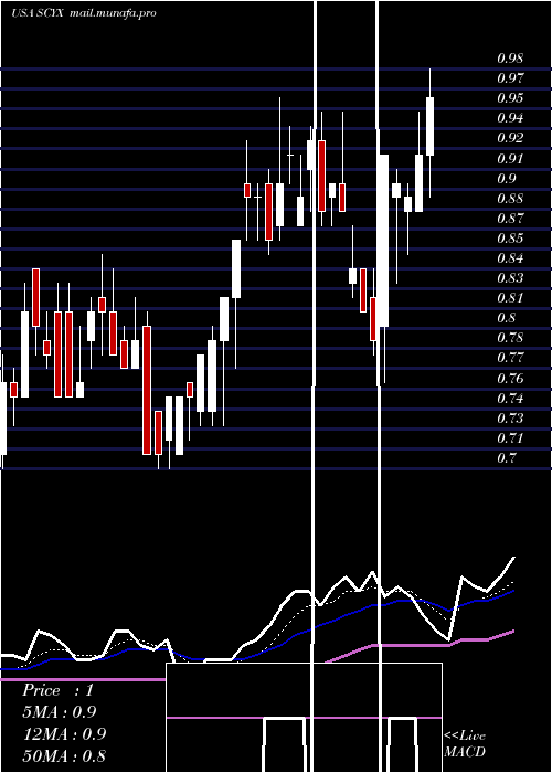  Daily chart ScynexisInc