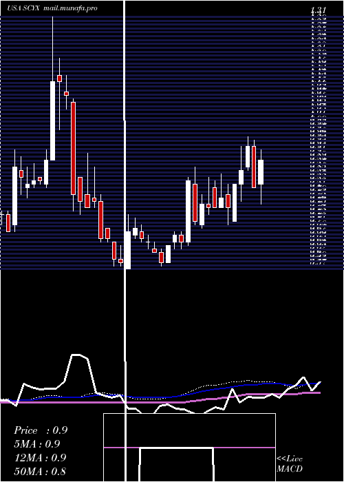  weekly chart ScynexisInc