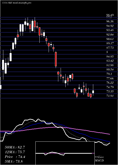  Daily chart SkylineChampion