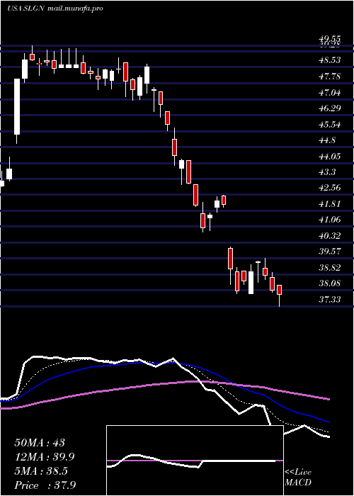  Daily chart SilganHoldings