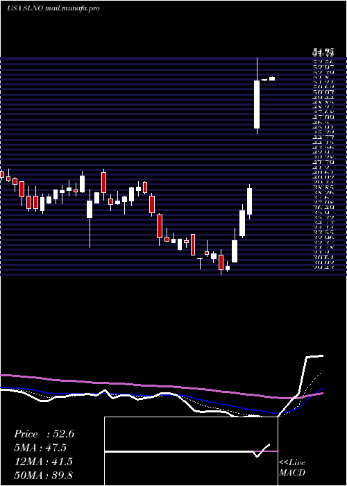  Daily chart SolenoTherapeutics