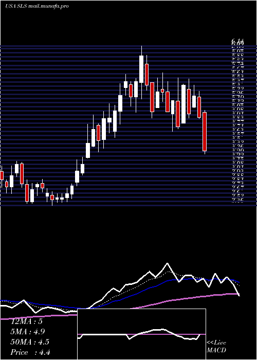  Daily chart SellasLife
