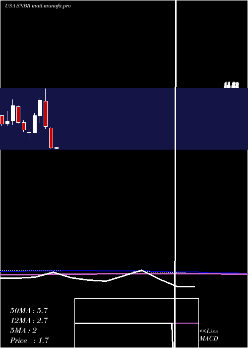  monthly chart SleepNumber