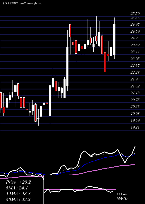  Daily chart SyndaxPharmaceuticals