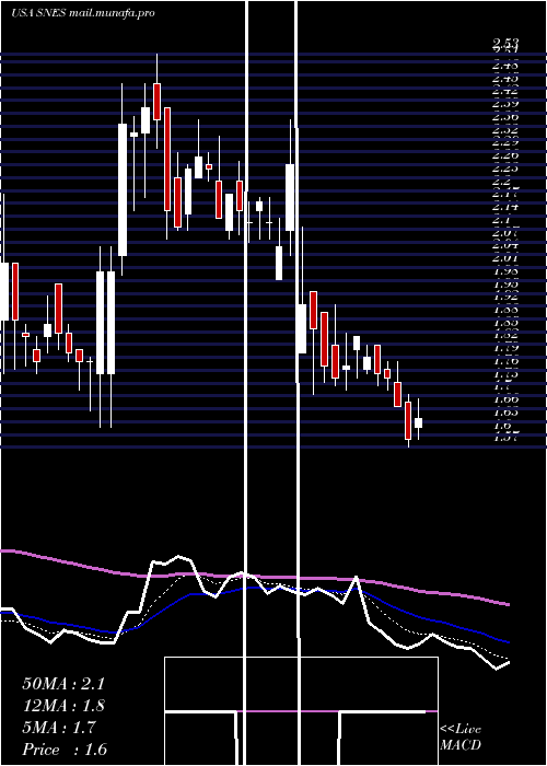  Daily chart SenestechInc