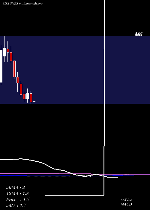  monthly chart SenestechInc