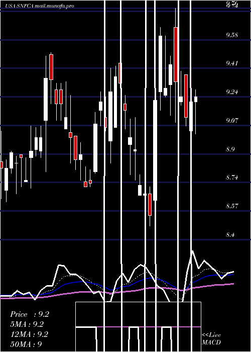  Daily chart SecurityNational