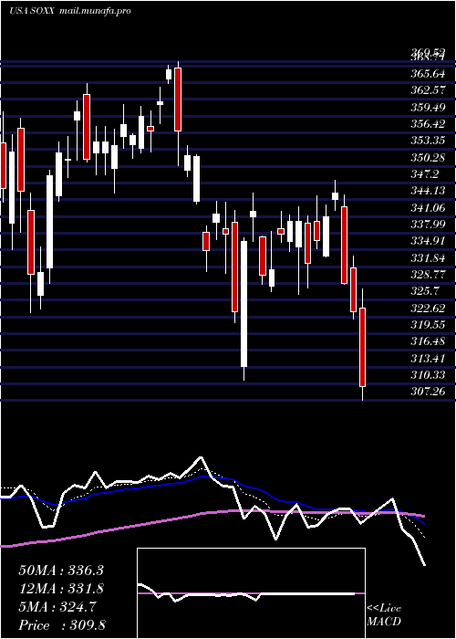  Daily chart IsharesPhlx