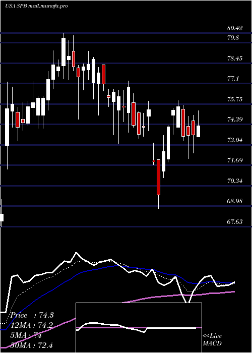 Daily chart SpectrumBrands