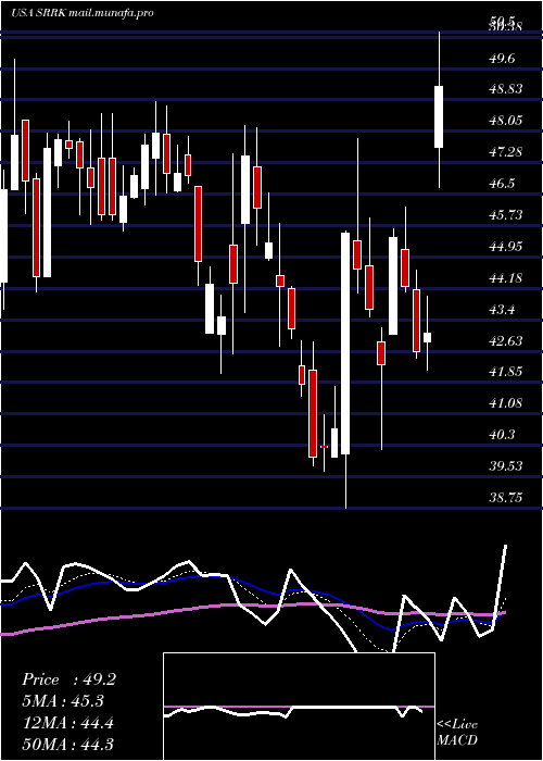  Daily chart ScholarRock