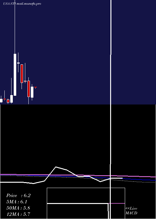  monthly chart SuntrustBanks