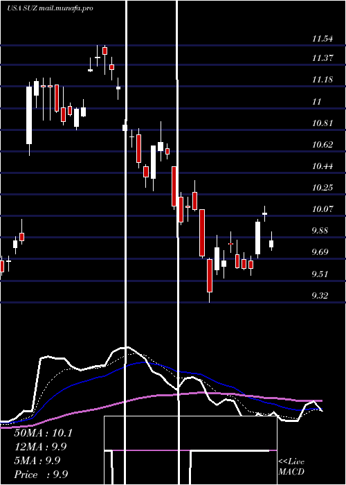  Daily chart SuzanoPapel